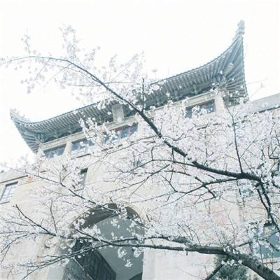 北京“最美公租房” 入住率已超7成